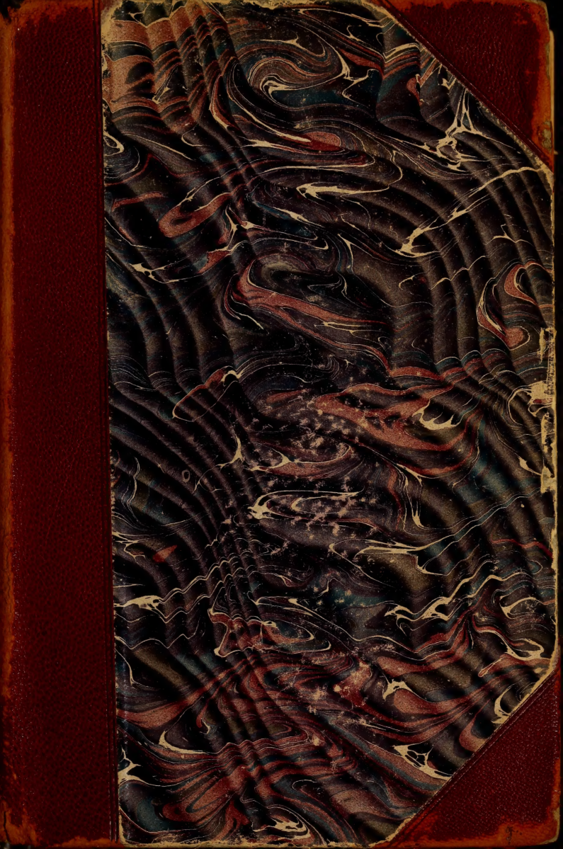 Cover for Power Of Movement In Plants