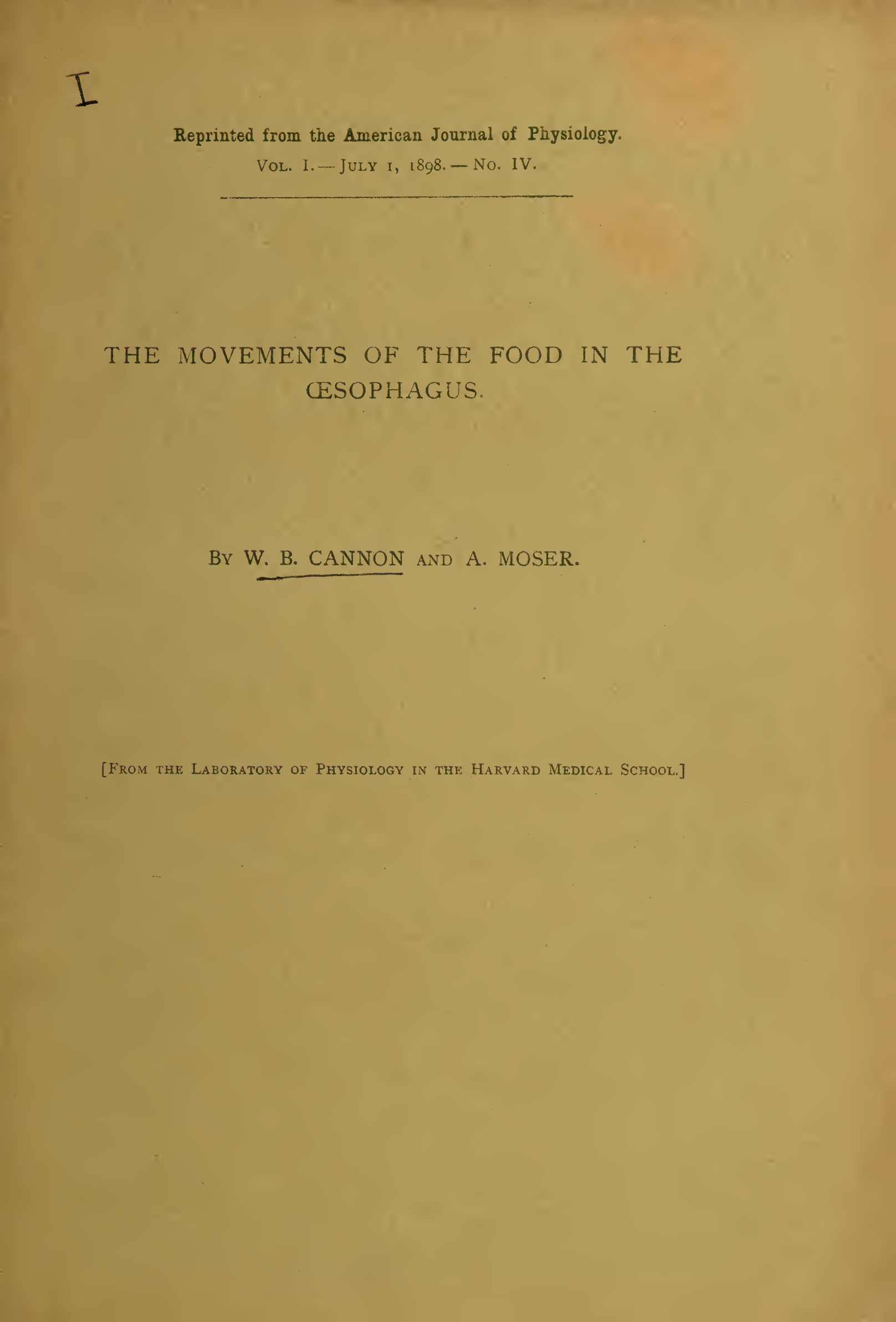Cover for The Movements Of The Food In The Oesophagus