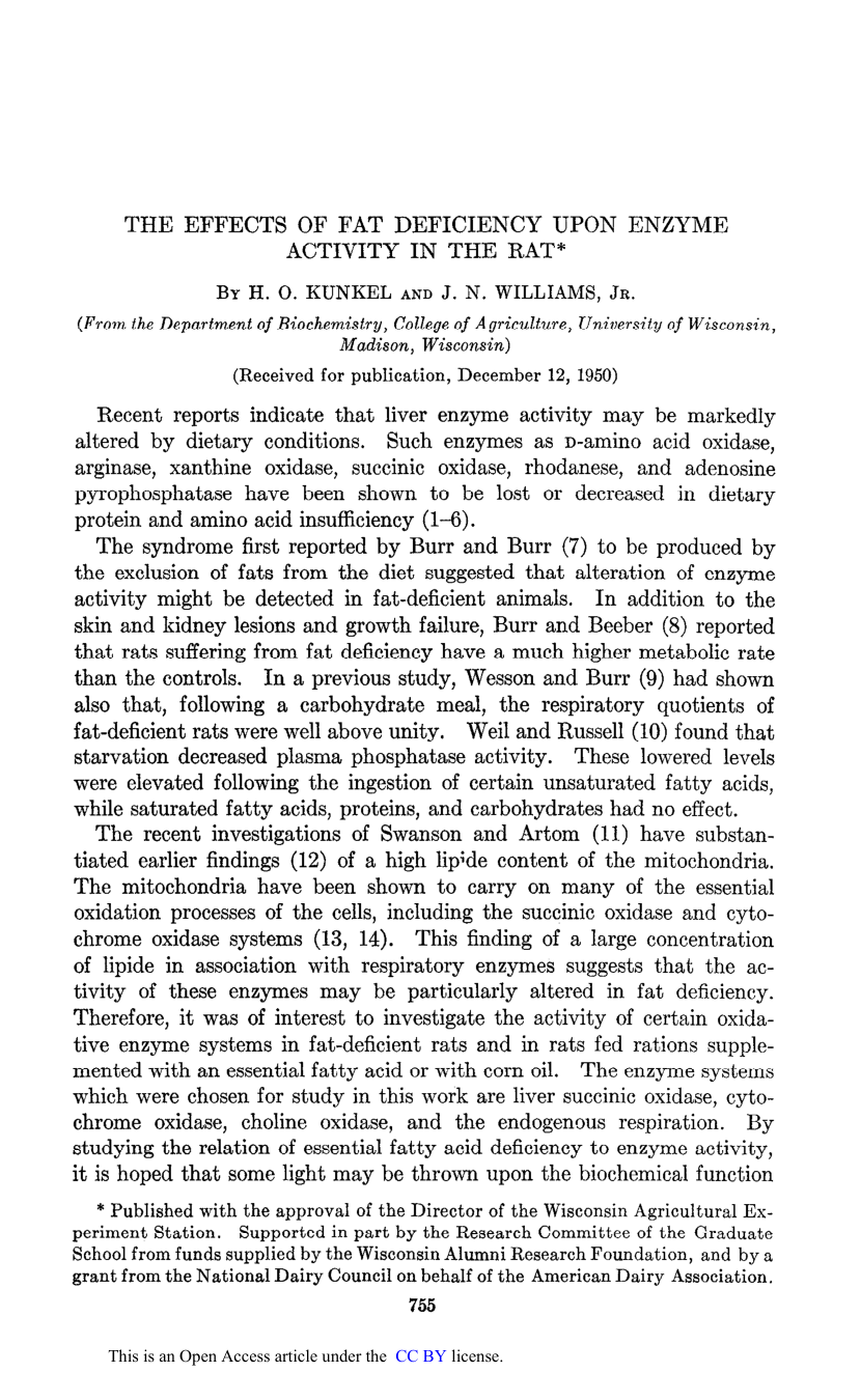 Cover for The Effect Of Fat Deficiency Upon Enzyme Activity In The Rat