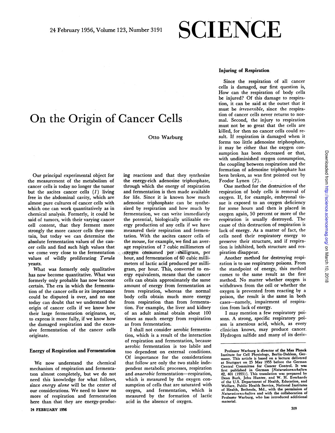Cover for On The Origin Of Cancer Cells