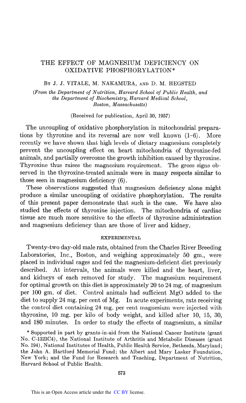 Cover for The Effect Of Magnesium Deficiency On Oxidative Phosphorylation