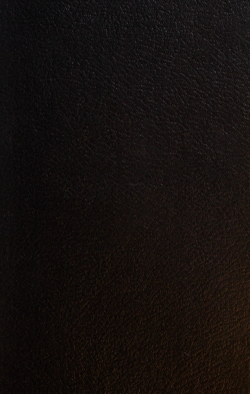 Cover for Concepts In Biochemistry