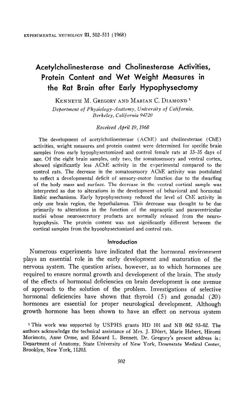 Cover for Acetylcholinesterase And Cholinesterase Activities, Protein Content And Wet Weight Measures In The Rat Brain After Early Hypophy