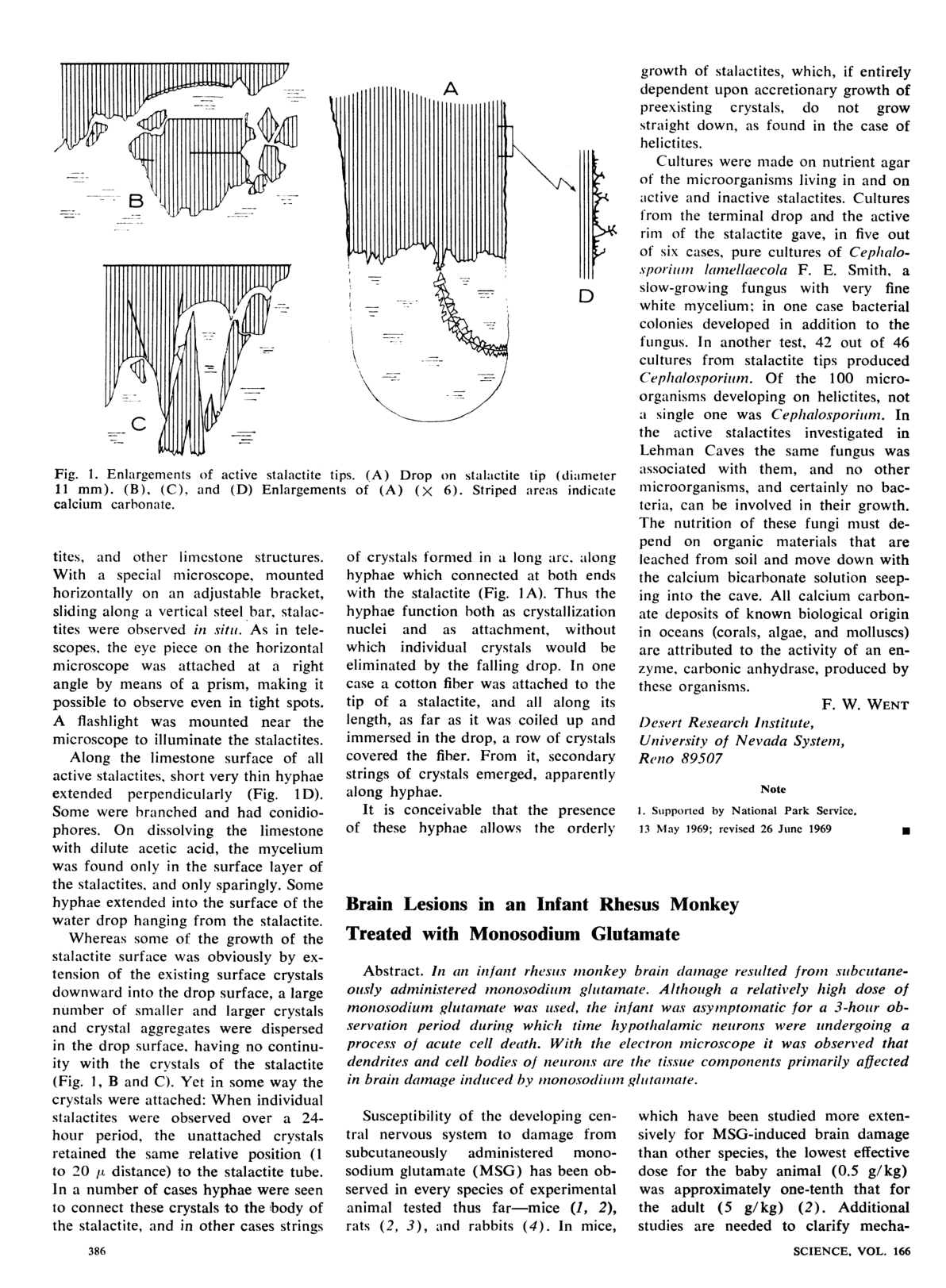 Cover for Brain Lesions In An Infant Rhesus Monkey Treated With Monosodium Glutamate
