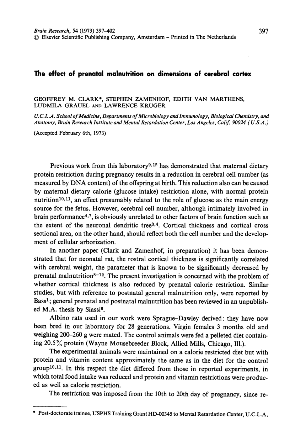 Cover for The Effect Of Prenatal Malnutrition On Dimensions Of Cerebral Cortex