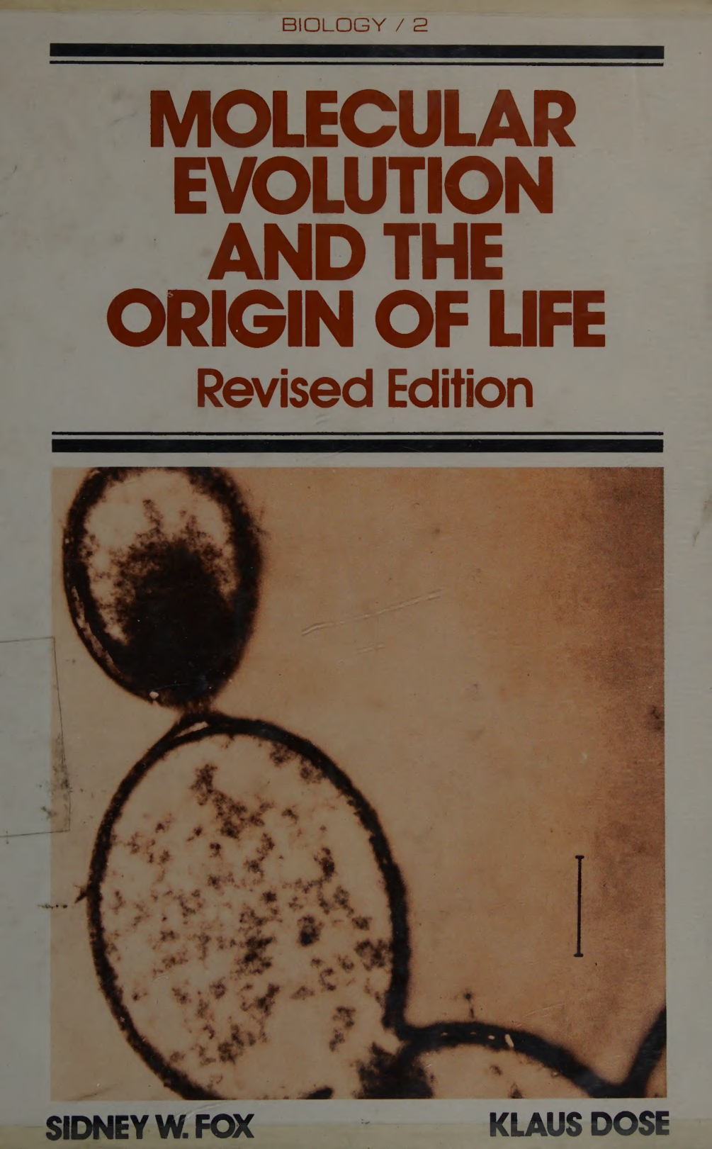 Cover for Molecular Evolution And The Origin Of Life