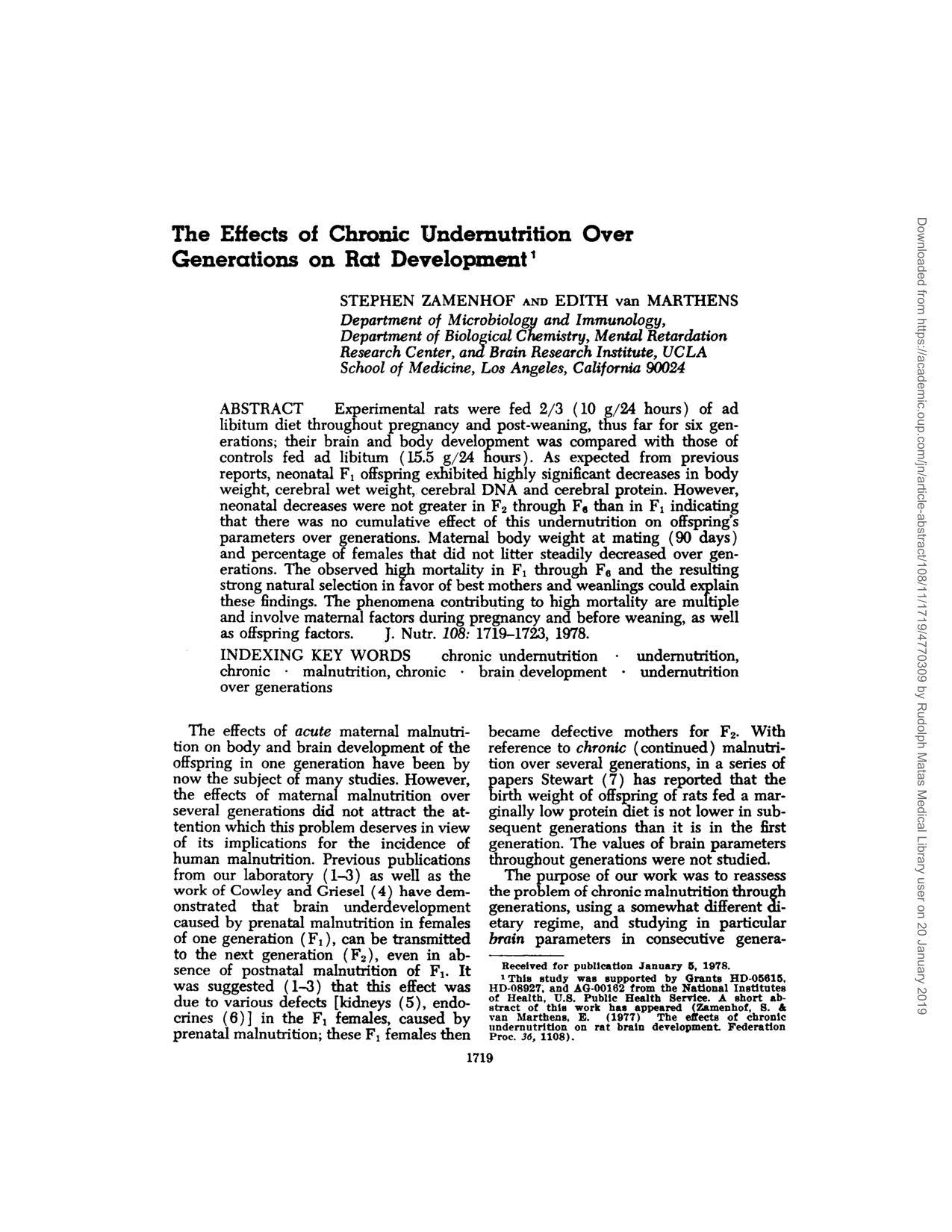 Cover for The Effects Of Chronic Undernutrition Generations On Rat Development