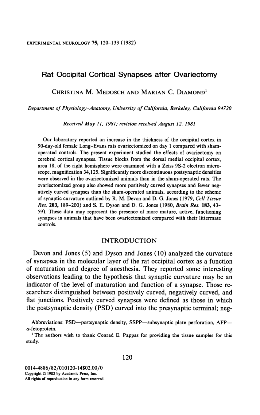 Cover for Rat Occipital Cortical Synapses After Ovariectomy