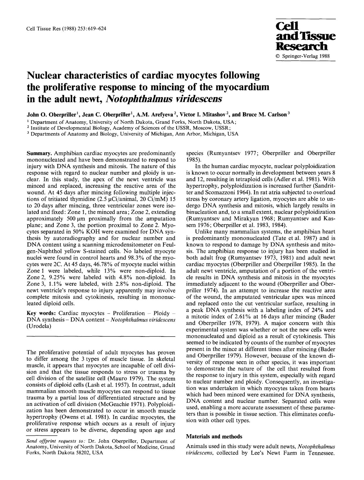 Cover for Nuclear Characteristics Of Cardiac Myocytes Following The Proliferative Response To Mincing Of THe Myocardium In The Adult Newt