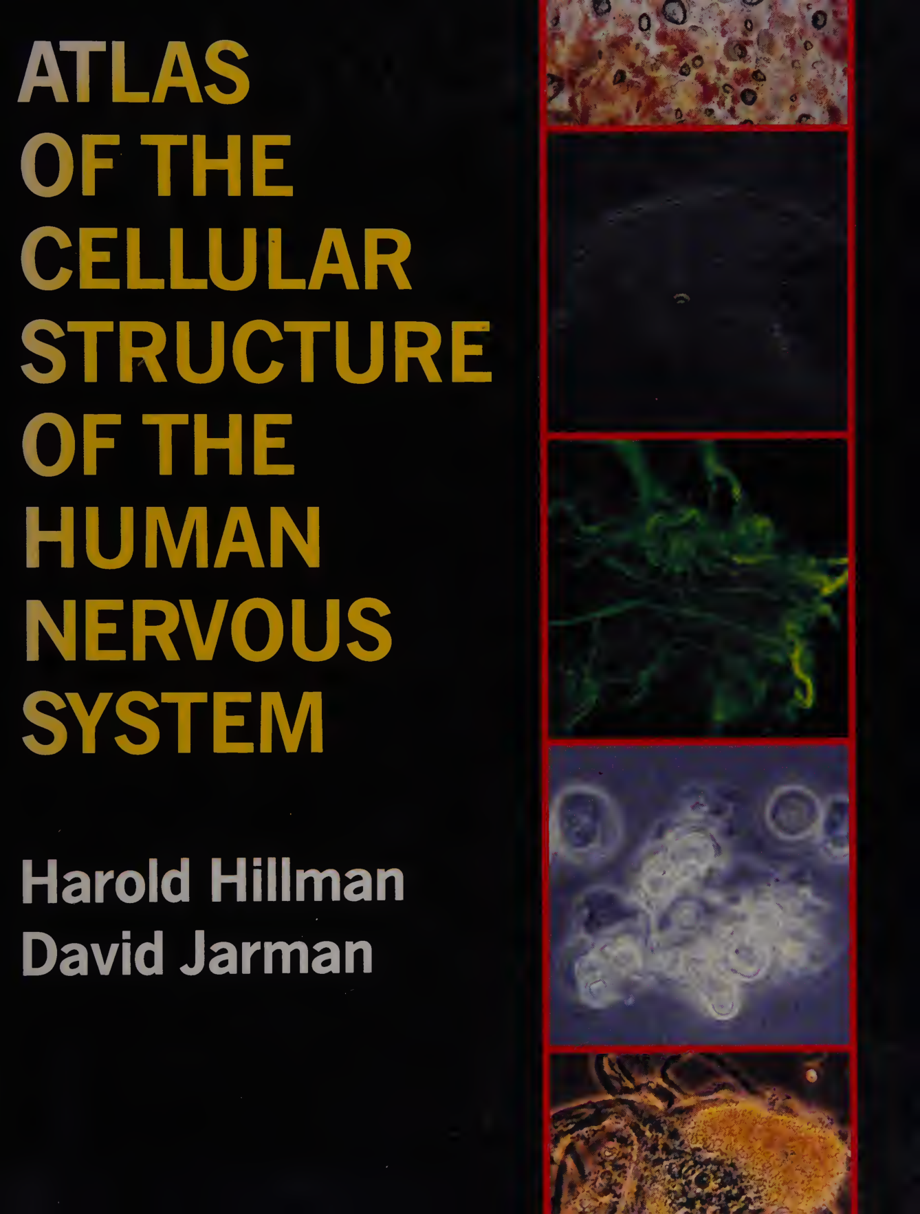 Cover for Atlas Of The Cellular Structure Of The Human Nervous System