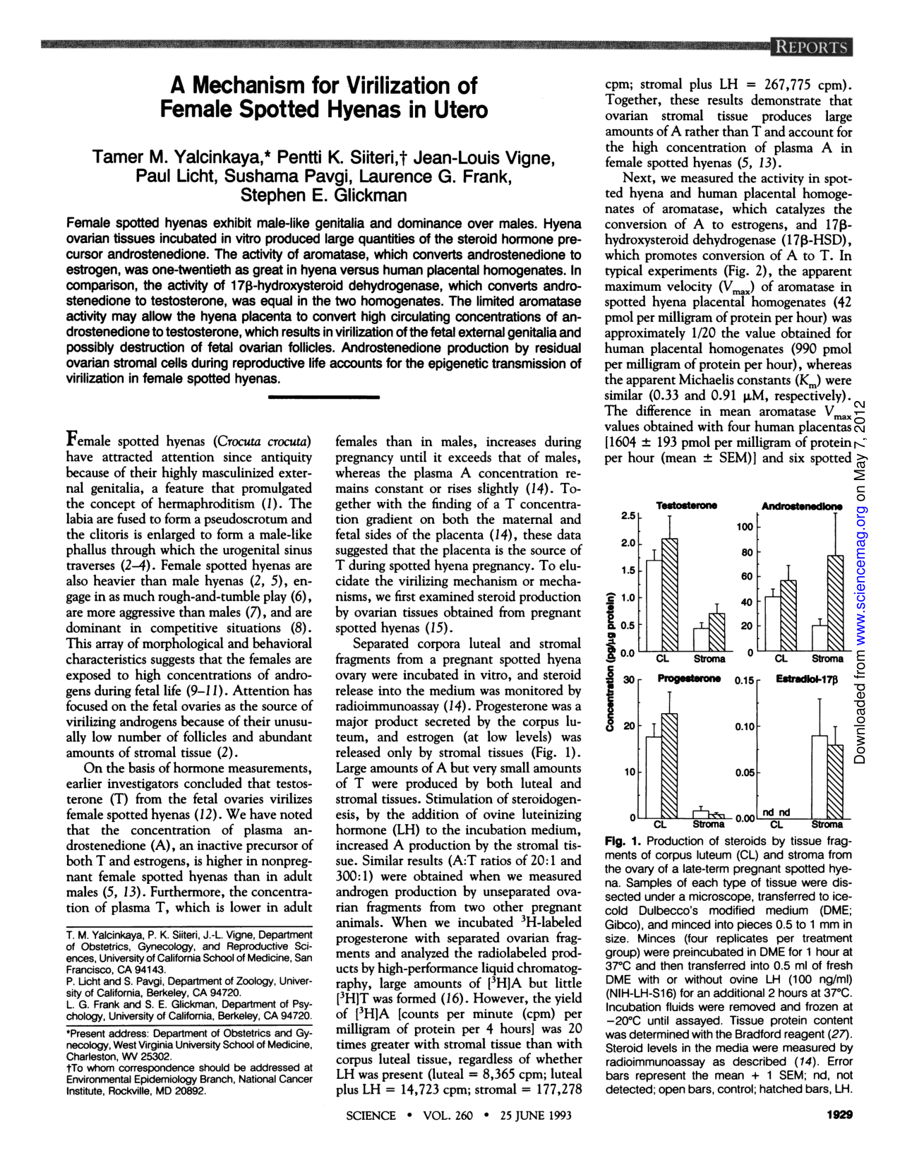 Cover for A Mechanism For Virilization Of Female Spotted Hyenas In Utero